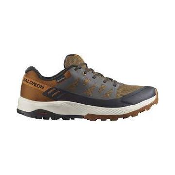 Picture of SALOMON OUTRISE GTX